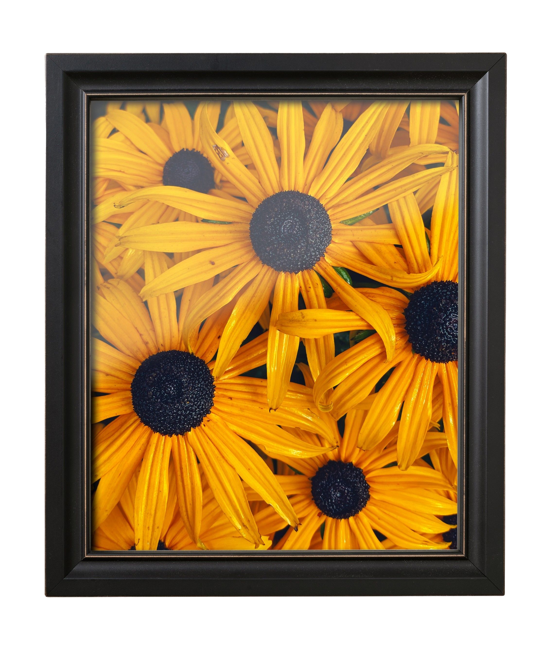 UV-Protective Acrylic
