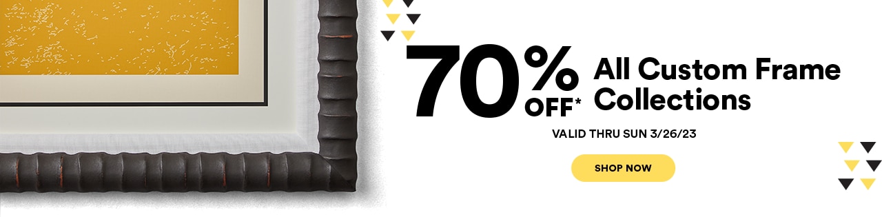 70% off all Custom Frame Collections. Shop now